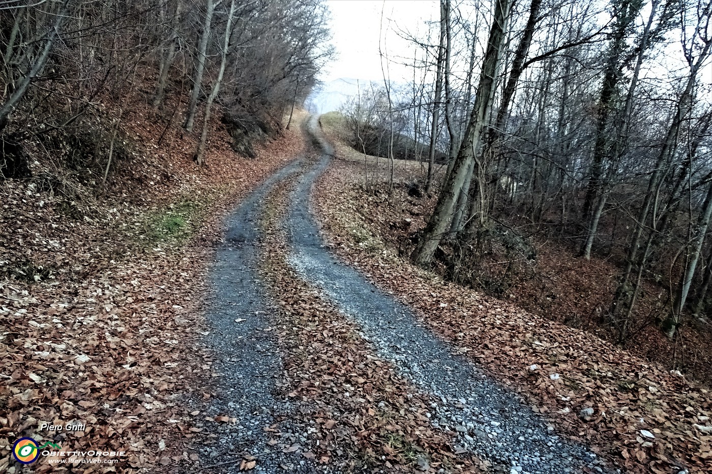 97 Rientro a Reggetto dalla strada agrosilvopastorale.JPG